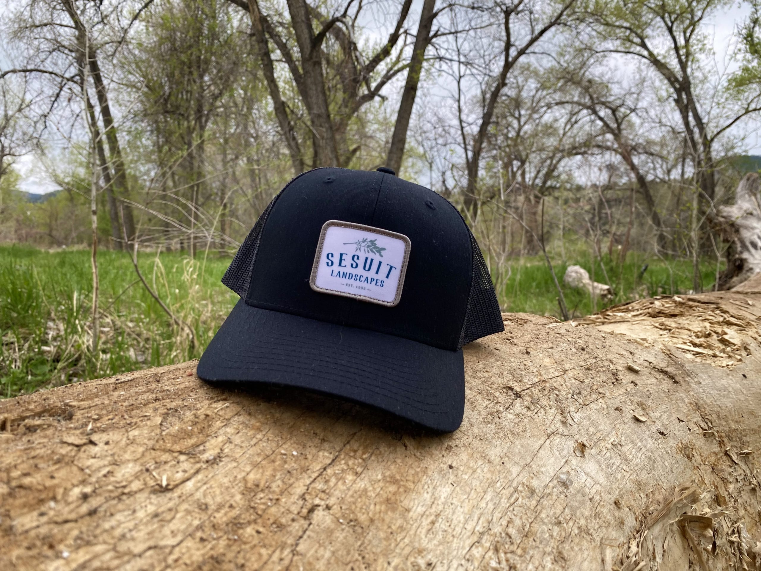 Photo of Sesuit Hat on Log