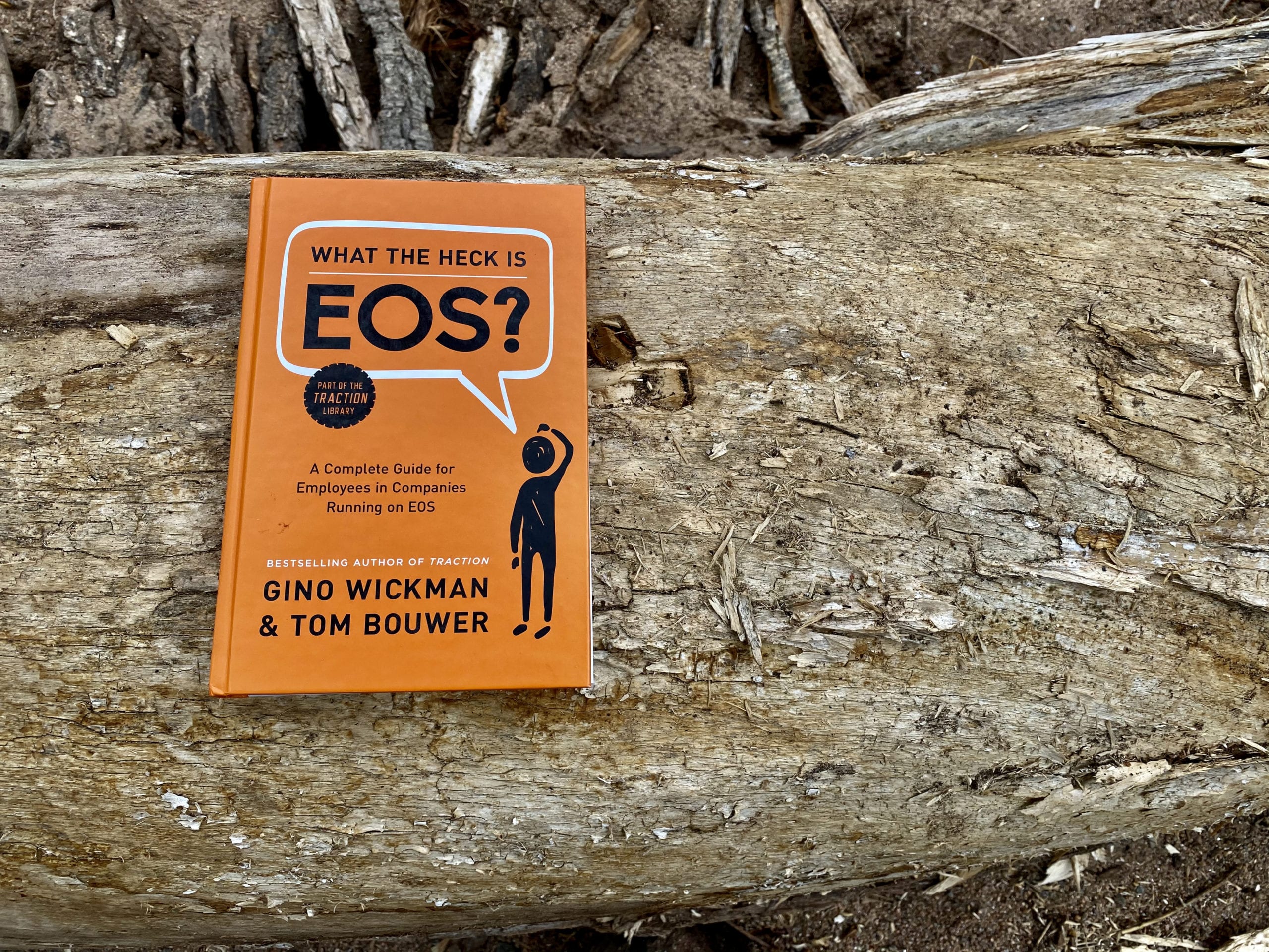 What The Heck Is EOS - Book Photo on Log