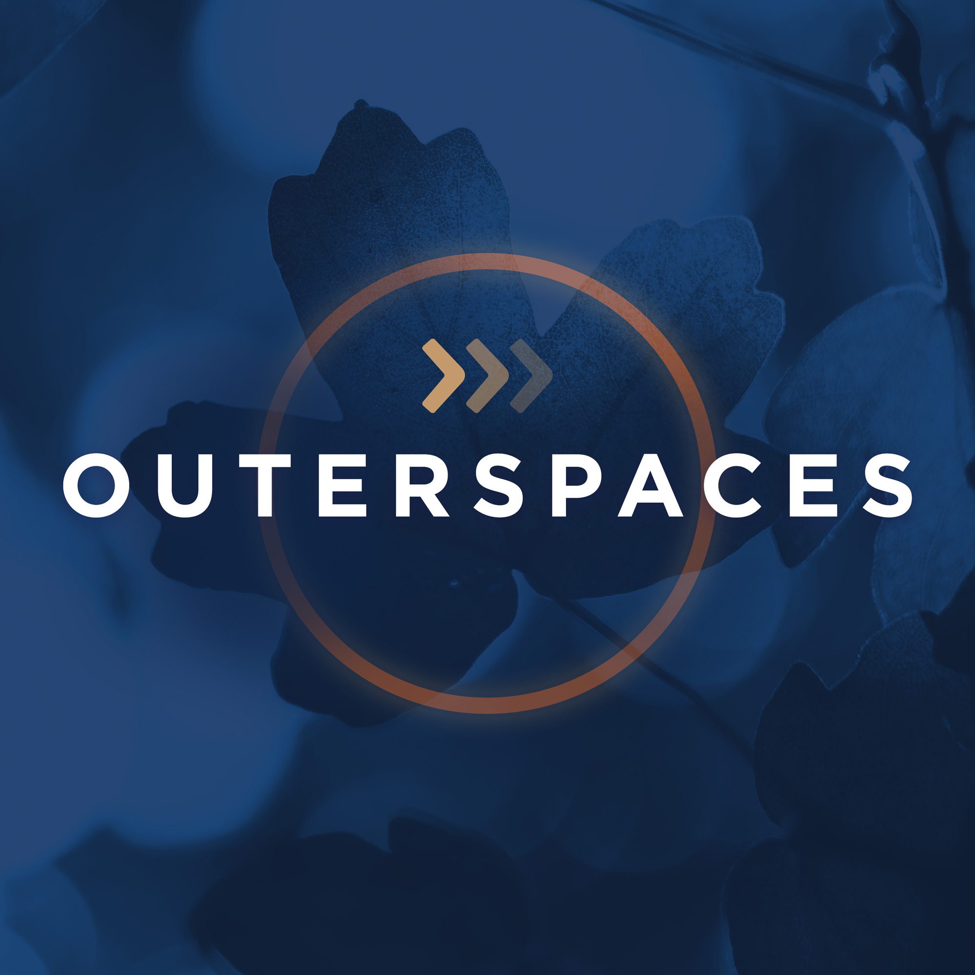https://landscapersguide.com/wp-content/uploads/2022/02/outerspaces.jpg